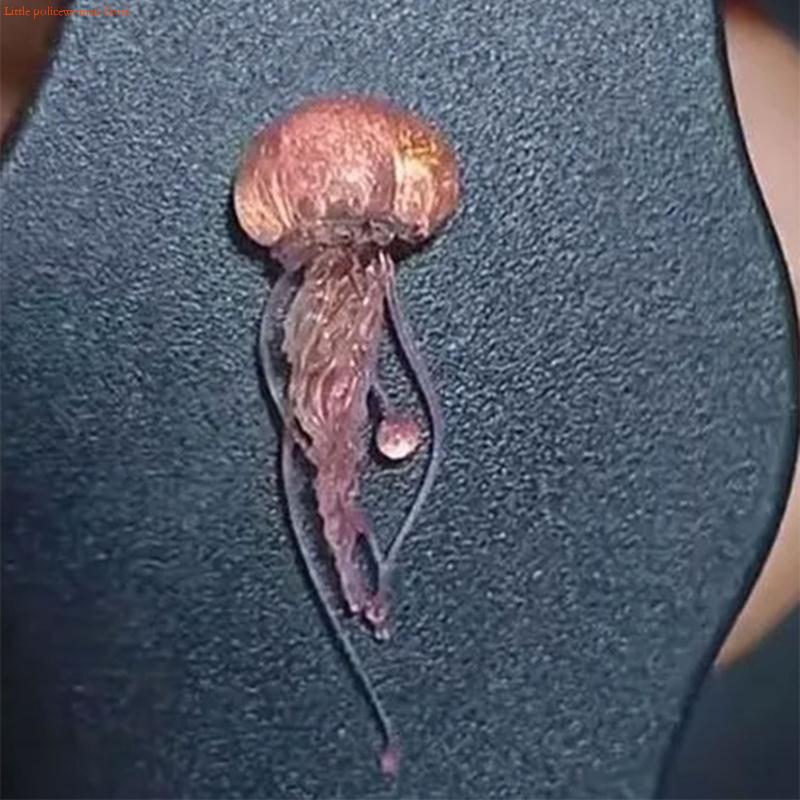F92D – moules créatifs en form - Art Craft Jellyfish avis et prix
